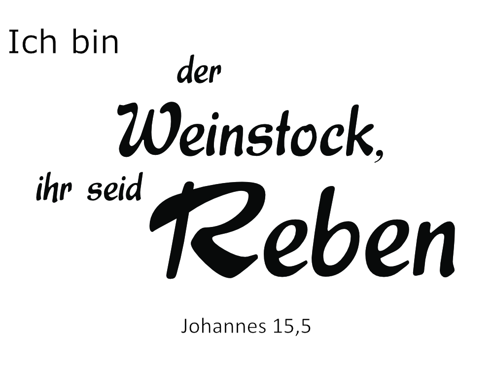 der Weinstock