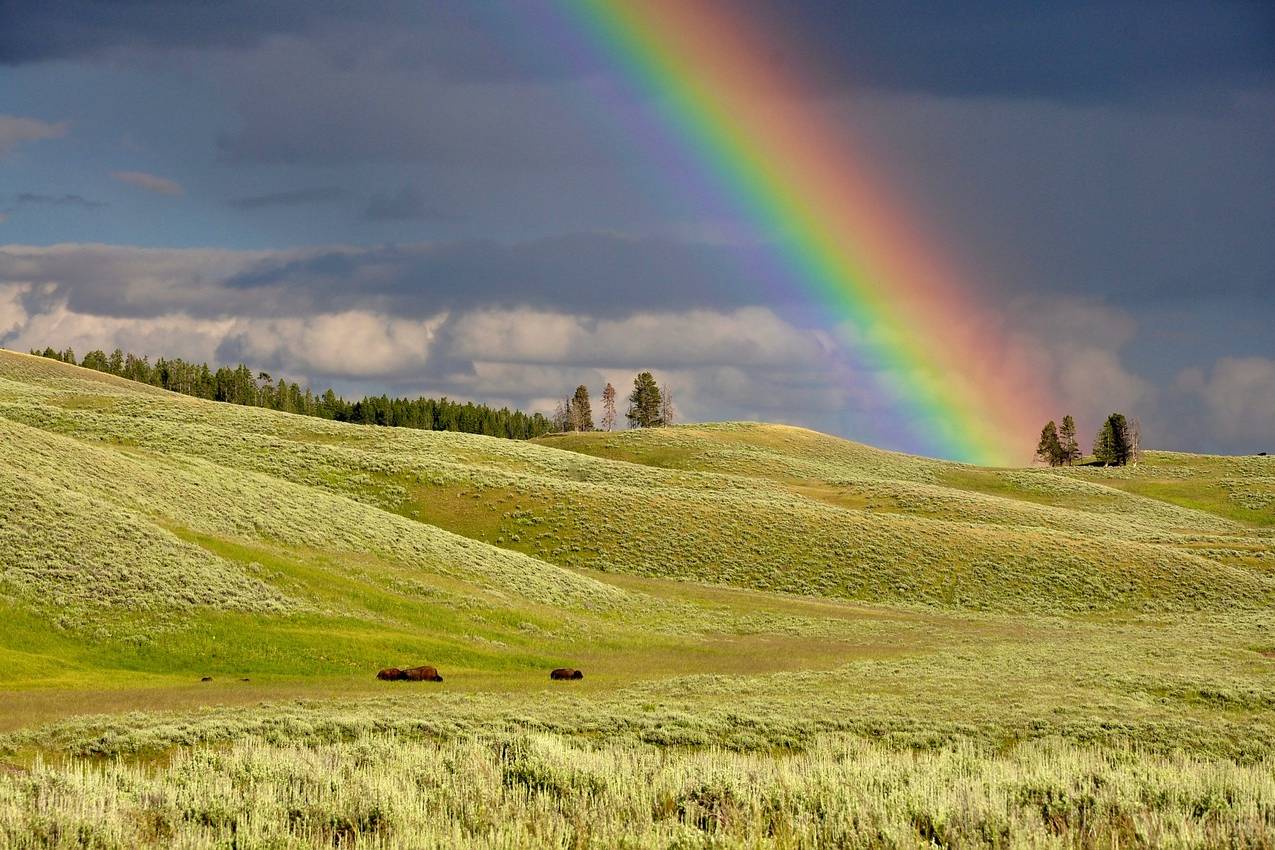 Regenbogen