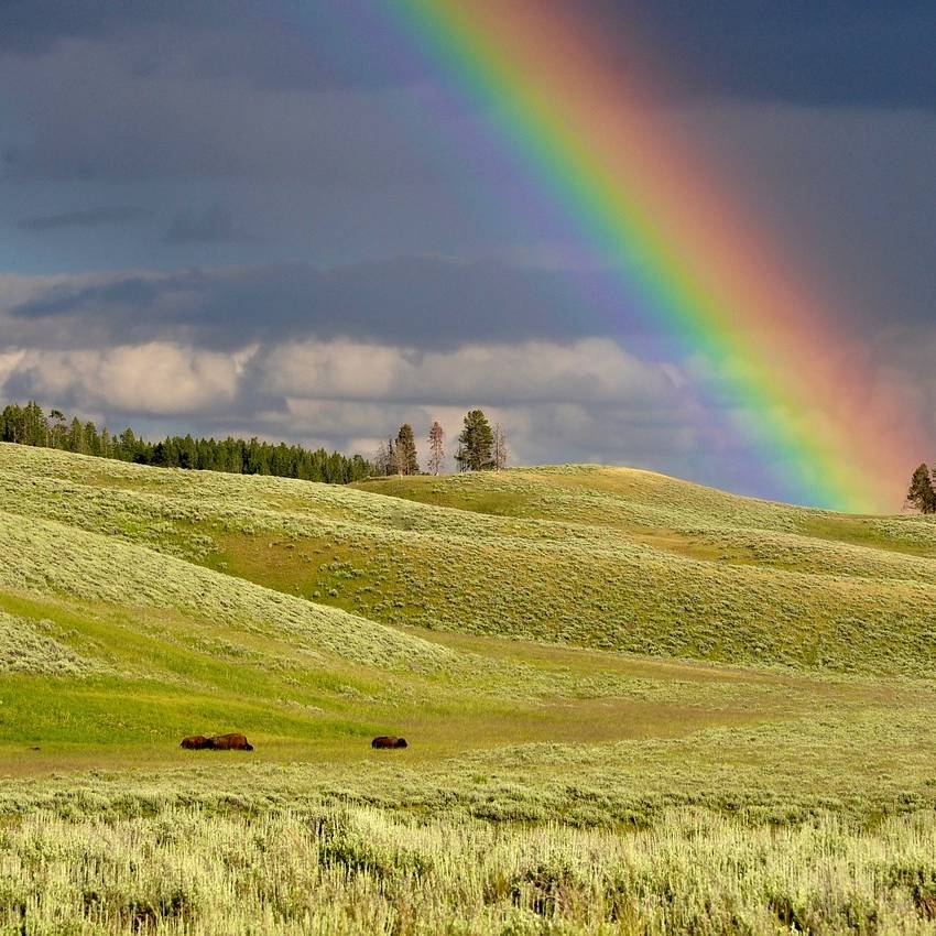 Regenbogen